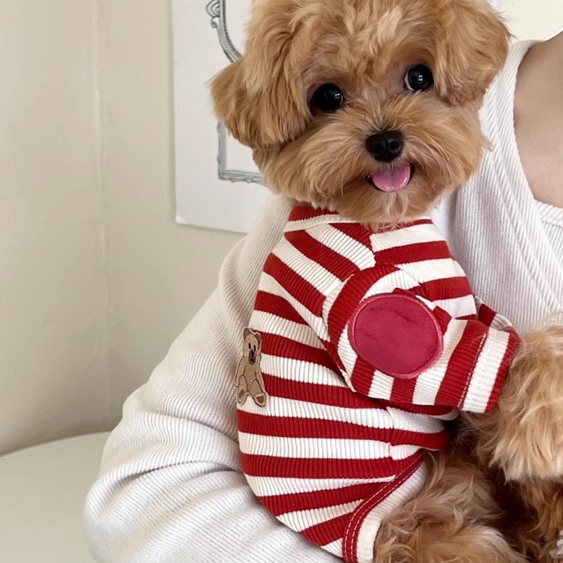 Camisa a rayas para cachorros, - Sleeveless Undershirt reseña y precio